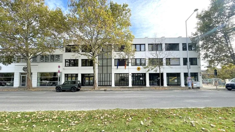 Ansicht der modernen Geschäftsfassade mit großen Fenstern und Bäumen entlang der Straße.