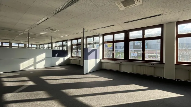 Geräumiges Großraumbüro mit Teppichboden, vielen Fenstern und natürlichem Lichteinfall, ideal für flexible Arbeitsbereiche.