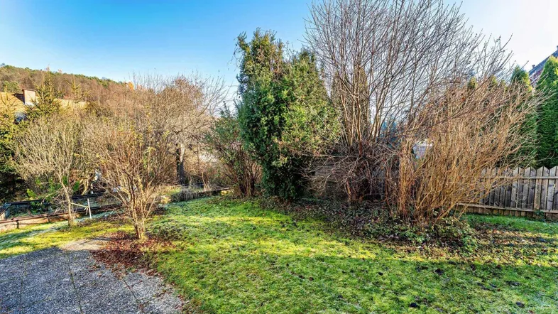 Grüner Gartenbereich mit Rasenfläche und verschiedenen Sträuchern unter blauem Himmel.