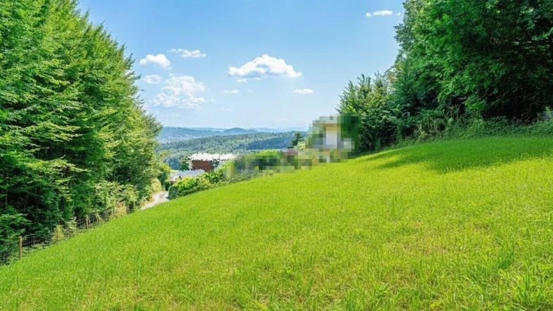 Sonnige Hanglage mit üppigem Grün und weitem Blick über die hügelige Landschaft.