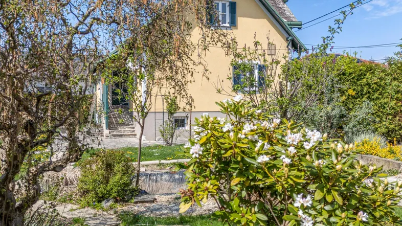 Charmantes Haus mit gelber Fassade, umgeben von einem blühenden Garten mit Bäumen und Sträuchern.