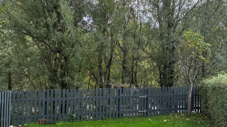 Blick von der Holzterrasse auf den gepflegten Garten mit Rasenfläche und dichtem Baumbestand.