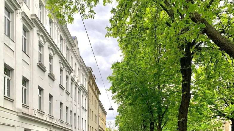 Blick auf eine von Bäumen gesäumte Straße mit klassischen Wohngebäuden unter bewölktem Himmel.