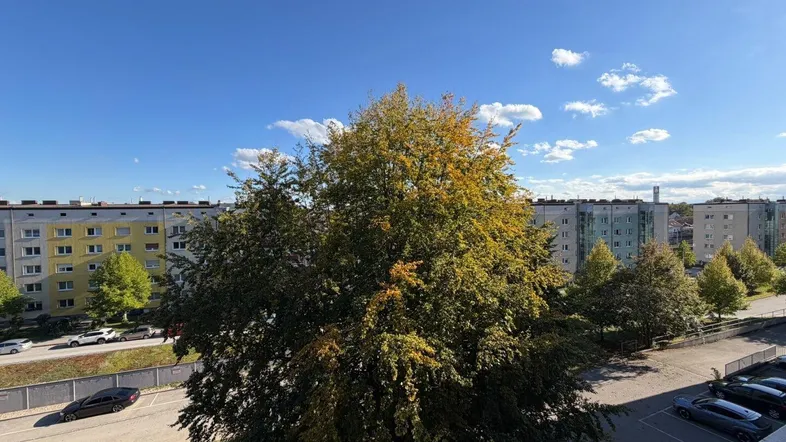 Blick auf Bäume, umliegende Gebäude und einen Parkplatz unter blauem Himmel.