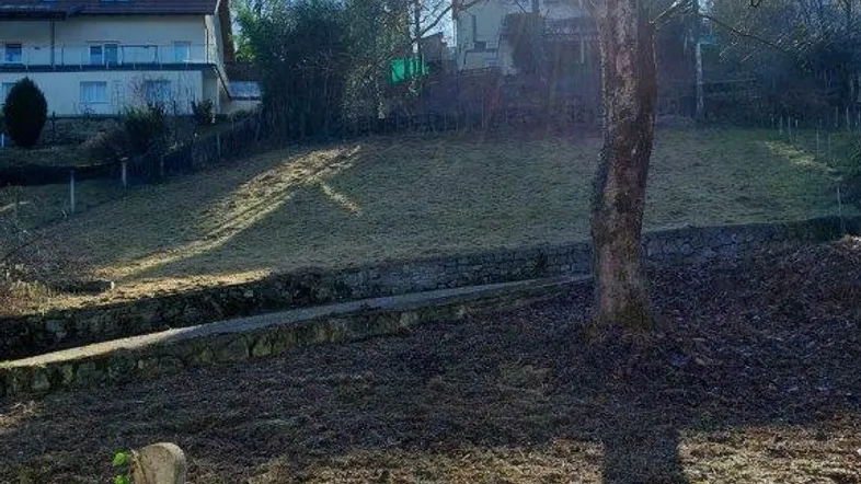 Sonnige Hanglage mit kahlen Bäumen und Blick auf umliegende Häuser in ländlicher Umgebung.