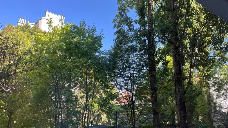 Blick ins Grüne mit Bäumen und einem Gebäude im Hintergrund, inklusive einer kleinen Terrasse.