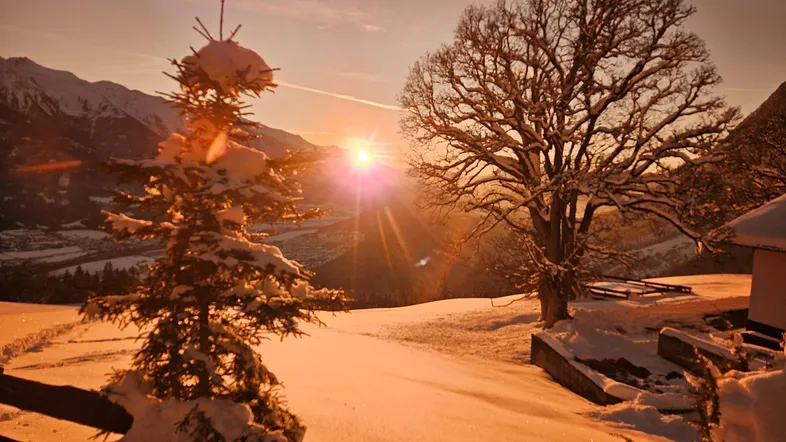 Winterliche Berglandschaft bei Sonnenuntergang mit verschneiten Bäumen und weitem Blick.