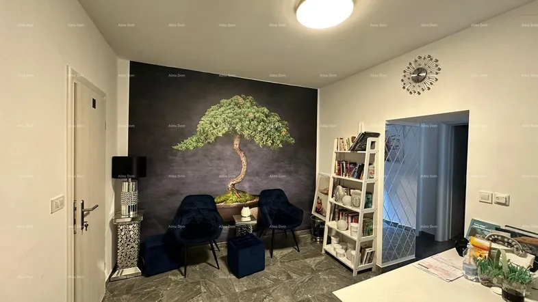 Gemütlicher Wohnbereich mit dekorativer Wandtapete, blauen Samtsesseln und einem Bücherregal.