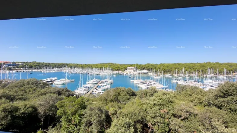 Blick vom Balkon auf den Yachthafen mit zahlreichen Booten und grüner Küstenlandschaft unter blauem Himmel.