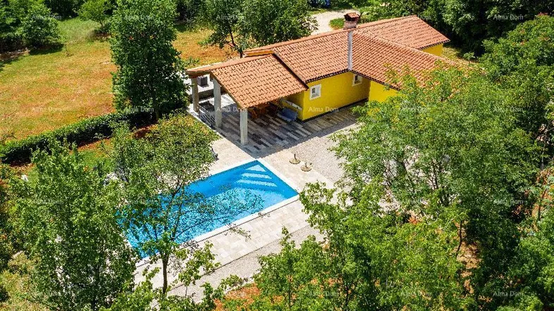 Luftaufnahme eines gelben Hauses mit rotem Ziegeldach, umgeben von viel Grün und einem Swimmingpool.