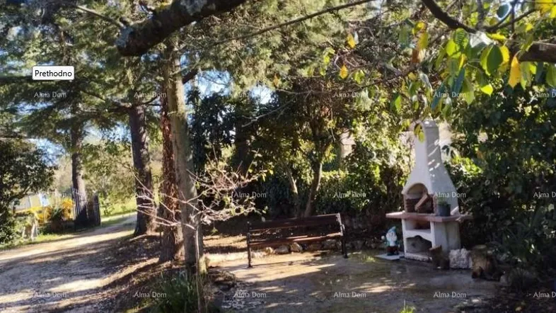 Gepflegter Gartenbereich mit gemauertem Grillplatz und Sitzbank unter schattenspendenden Bäumen.