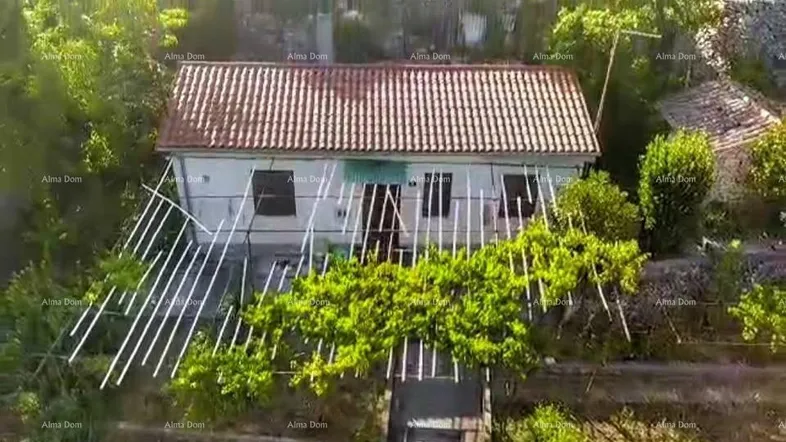Luftaufnahme eines kleinen Hauses mit rotem Ziegeldach, umgeben von viel Grün und Weinreben.