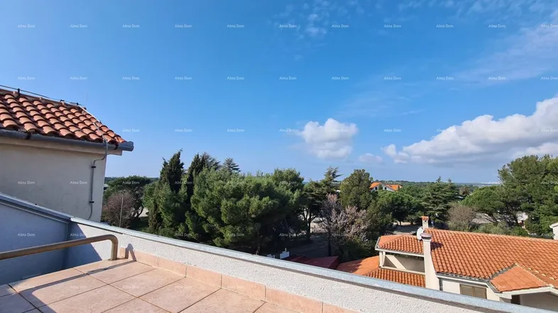 Panoramablick von der Terrasse über die umliegende Wohngegend mit vielen Bäumen und Häusern.