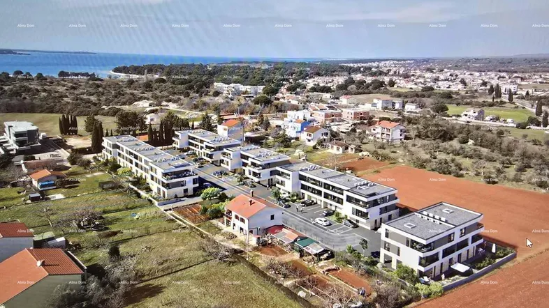 Slide 1