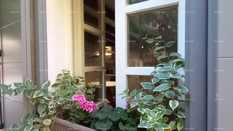Nahaufnahme eines Fensters mit Blumenkasten und Pflanzen, das einen Blick ins Innere gewährt.