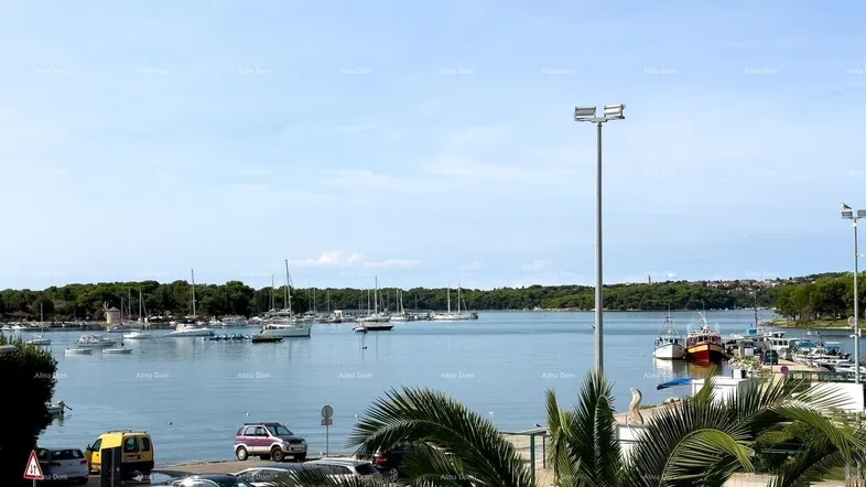 Panoramablick auf die Bucht mit zahlreichen Booten und üppiger Vegetation im Vordergrund.