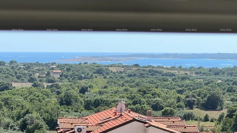 Weitläufiger Blick über grüne Landschaft und das Meer unter einem blauen Himmel.