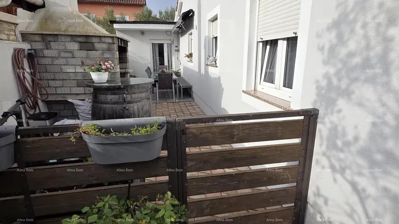 Slide 1