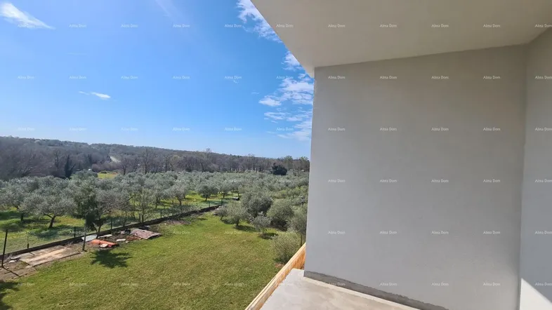 Geräumiger Balkon mit weitem Blick über die grüne Landschaft und Olivenhaine unter blauem Himmel.