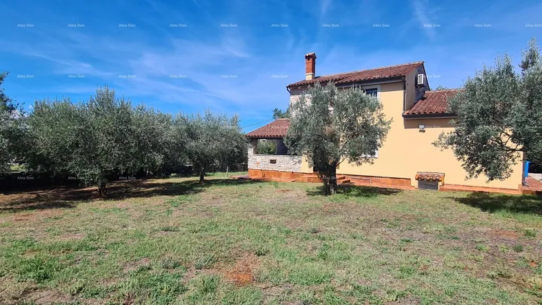 Seitenansicht des Hauses mit gelber Fassade und einem gepflegten Garten mit Olivenbäumen unter blauem Himmel.