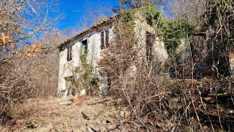 Altes, verfallenes Steinhaus, umgeben von dichter Vegetation und Bäumen unter blauem Himmel.