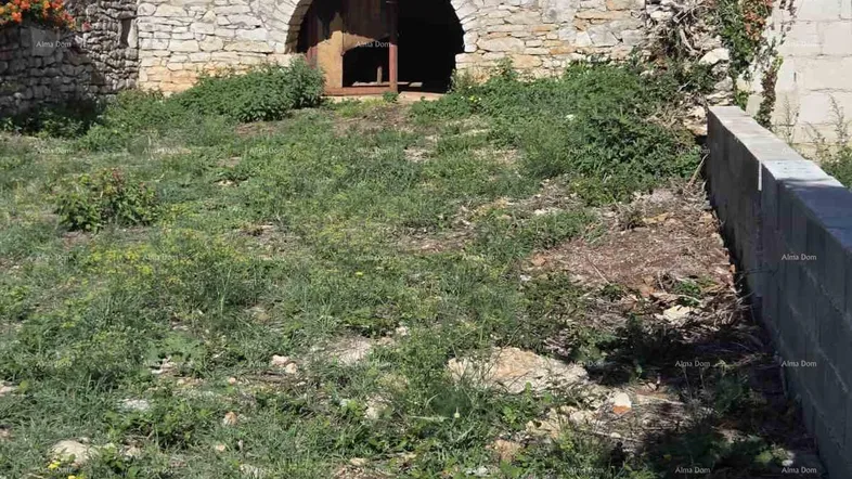 Altes Steingebäude mit bogenförmigem Eingang und überwuchertem Grundstück im Vordergrund.