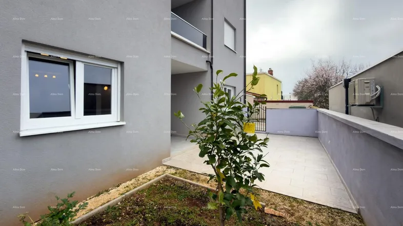 Seitenansicht des Gebäudes mit einem kleinen Gartenbereich und gepflastertem Zugang.