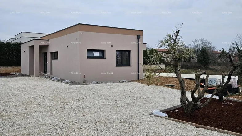 Modernes Einfamilienhaus mit flachem Dach, Kiesauffahrt und jungem Olivenbaum im Vorgarten.