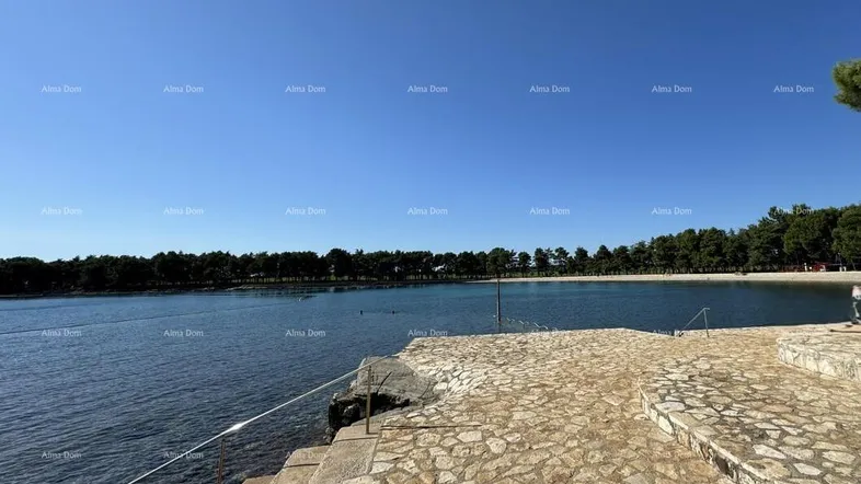Weitläufiger Blick auf das ruhige Meer und die bewaldete Küstenlinie unter klarem blauem Himmel.