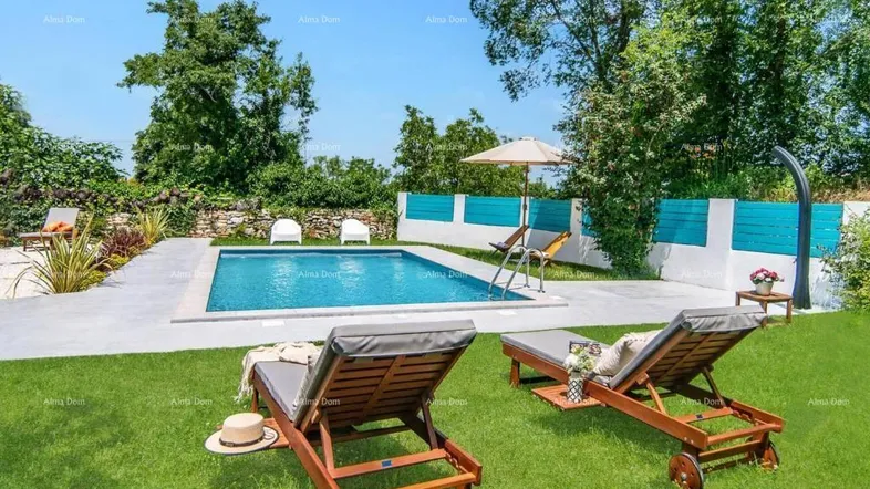 Gepflegter Gartenbereich mit Swimmingpool, Liegestühlen und viel Grünfläche unter blauem Himmel.