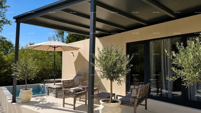 Große moderne Terrasse mit Pergola, Sitzgelegenheiten, Olivenbäumen und einem kleinen Pool.