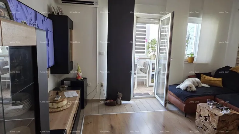 Helles Wohnzimmer mit Holzboden, bequemer Couch und Zugang zu einem möblierten Balkon.