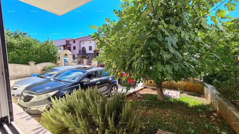 Blick von einem Balkon auf einen kleinen Gartenbereich mit Feigenbaum und geparkten Autos.