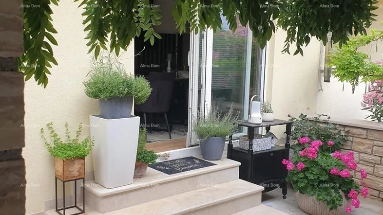 Gemütliche Terrasse mit Steinstufen, üppiger Bepflanzung und Zugang zum Innenbereich des Hauses.