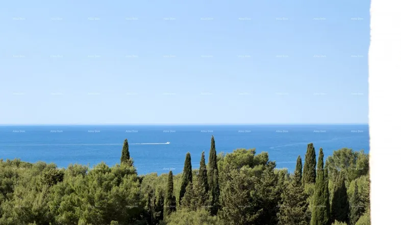 Weiter Blick über das Meer und die umliegende grüne Landschaft mit Zypressen.