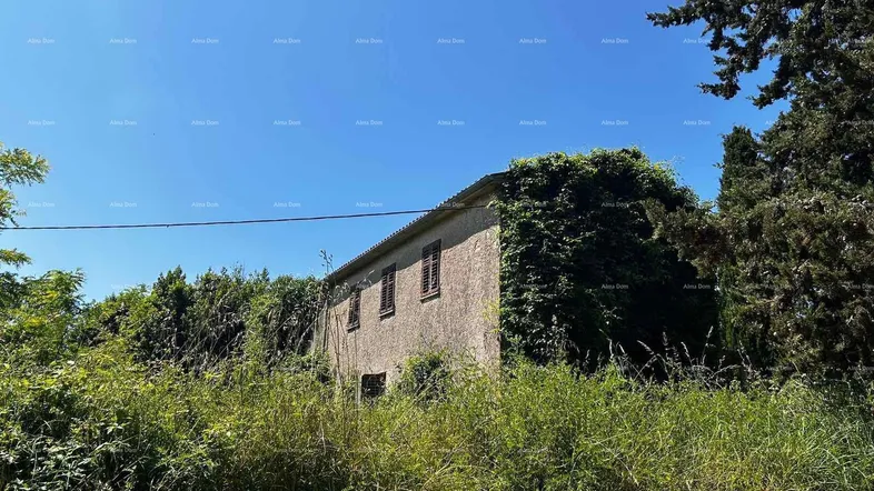 Altes, von Vegetation überwuchertes Haus in ländlicher Umgebung unter blauem Himmel.