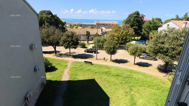 Blick von der Immobilie auf die grüne Umgebung mit dem Meer im Hintergrund.