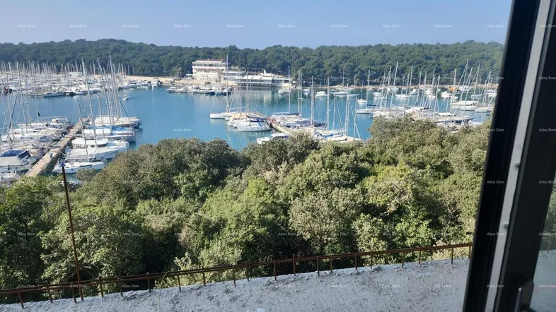 Blick auf einen Yachthafen mit zahlreichen Booten und grüner Vegetation unter klarem Himmel.