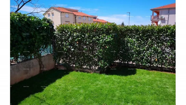 Gepflegter Rasenbereich mit hoher Hecke und sonnigem Himmel.