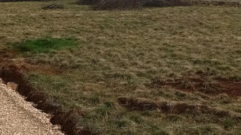 Unbebautes Grundstück mit einem Schotterweg und einem Haus im Hintergrund unter bewölktem Himmel.