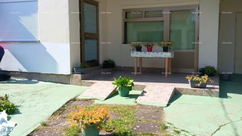 Eingangsbereich des Hauses mit kleiner gepflasterter Terrasse und Topfpflanzen im Vorgarten.