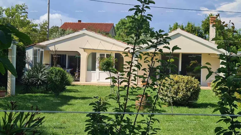 Gepflegtes Haus mit weitläufigem Garten und üppiger grüner Bepflanzung unter blauem Himmel.