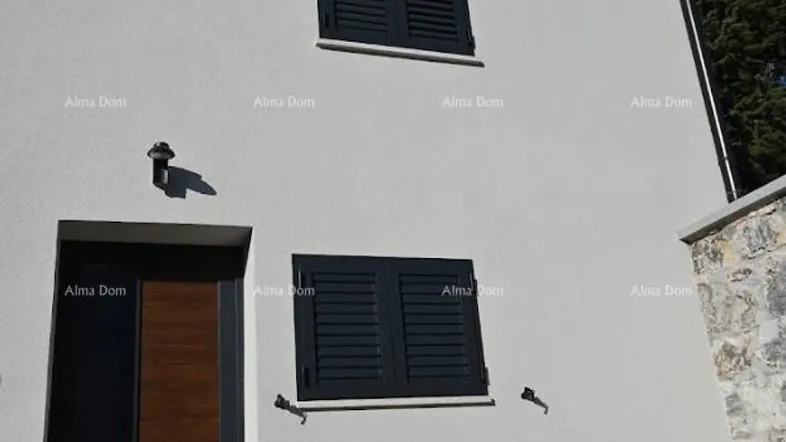 Slide 1