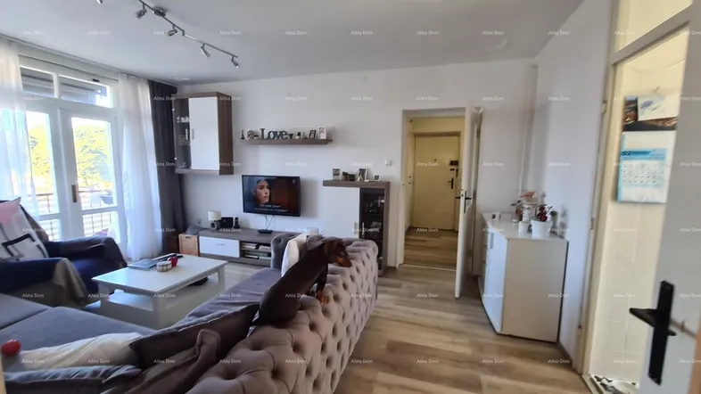 Geräumiges Wohnzimmer mit großem Ecksofa, Holzboden und Zugang zum Balkon.