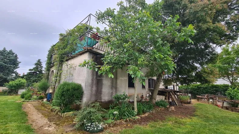 Hausfassade mit üppigem Garten und einer Dachterrasse, umgeben von Bäumen und viel Grün.