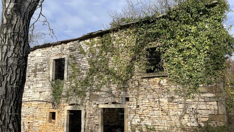 Altes, verfallenes Steinhaus mit Efeubewuchs und leeren Fensteröffnungen unter bewölktem Himmel.