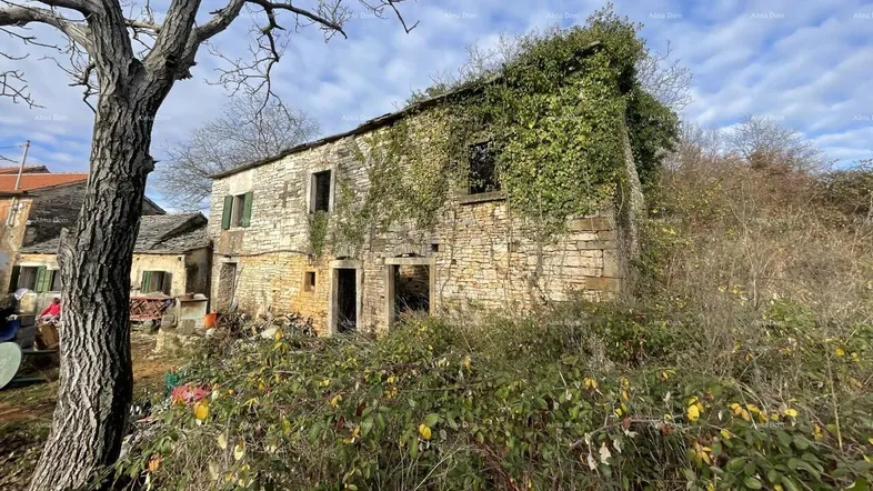 Altes, verfallenes Steinhaus, teilweise mit Efeu bewachsen, umgeben von dichter Vegetation.