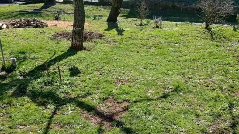 Gepflegter Gartenbereich mit Rasenfläche und Bäumen vor einem Wohnhaus in ländlicher Umgebung.