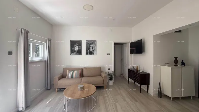 Helles Wohnzimmer mit modernem Sofa, Couchtisch und Holzboden in einem gepflegten Zustand.