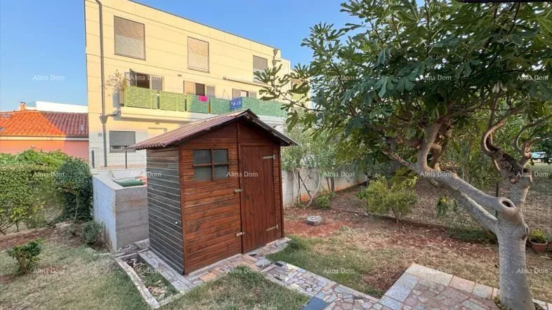 Gepflegter Gartenbereich mit Rasenfläche, Bäumen und einem praktischen Gartenschuppen im Hintergrund.